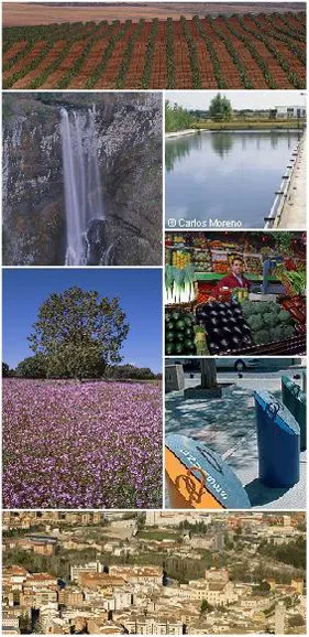 imágenes decorativas de medio ambiente